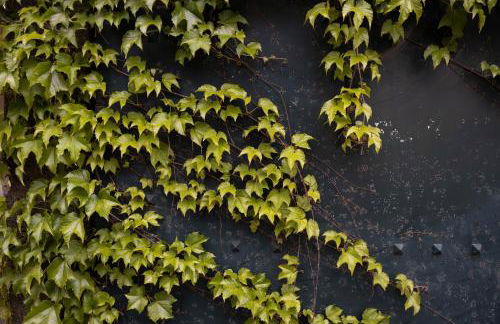 Parco Statella - Foto 29