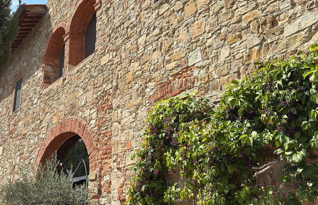 Terre di Baccio - Foto 2