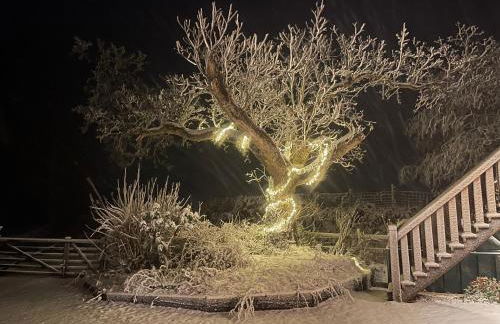 Upper Gelli Luxury Holiday Lodge, Converted Dairy & Cosy Shepherds Huts - Photo 42