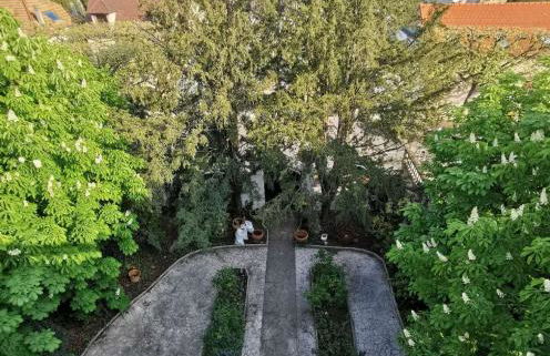 Le patio Aristide - Foto 27