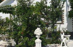 Casa Coqueta - Foto 13