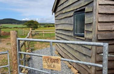 Cwt Gafr Bach - Photo 16