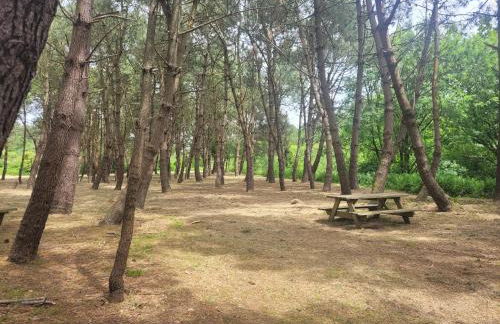 La Vallée - Foto 13