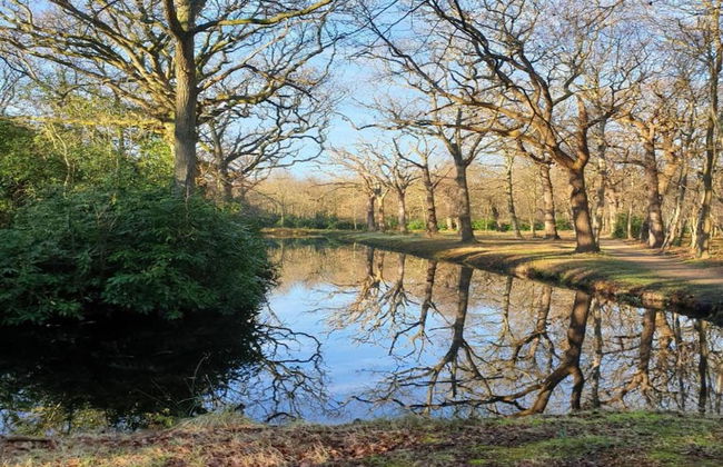 Apartment in Oostkapelle Near the Beach - Foto 35