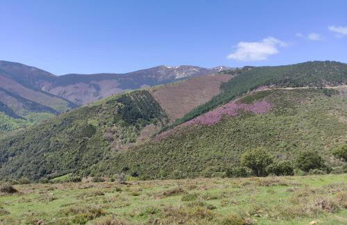 El rincón de Soto - Foto 34