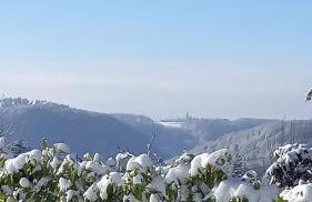 Haus am Wald - Foto 6