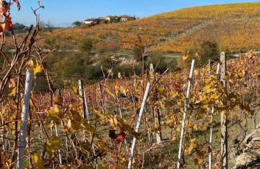 Agriturismo La Ruota - Foto 11