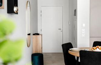 A21 Rhine view condo by the 3-countries-bridge - Foto 15