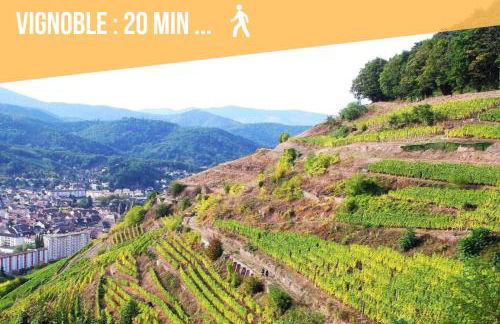 Chez Patisa - Business and Tourism - RBNB - Foto 52