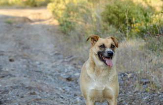 Quinta do Vale Courtyard Sunrise - Foto 19