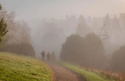 Pine Cabin Overlooking Bedgebury Forest - Foto 21