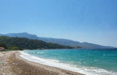 Alexia's resorts - Photo 10