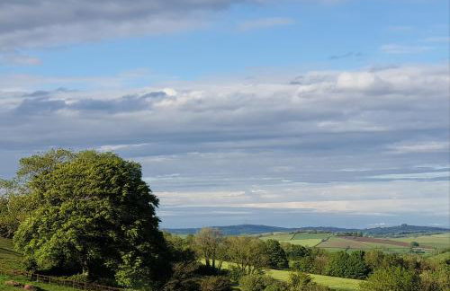 South Holm - Photo 45