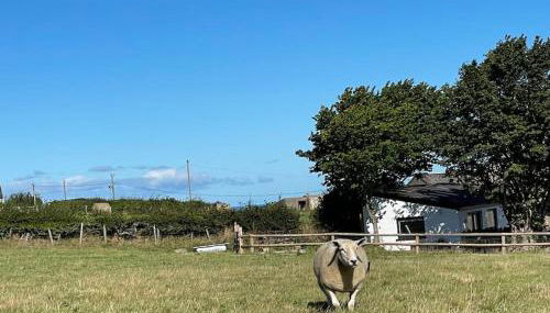 Tranquil, secluded, rural cottage for two - Photo 4