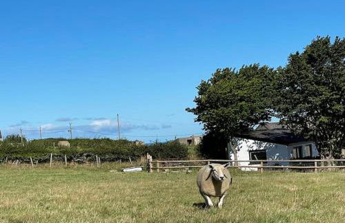 Tranquil, secluded, rural cottage for two - Photo 4