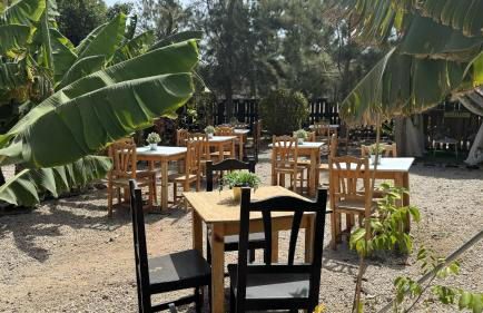 Hotel Privado Serendipia Natural Club Exclusive by Deihu Experiences - Foto 43