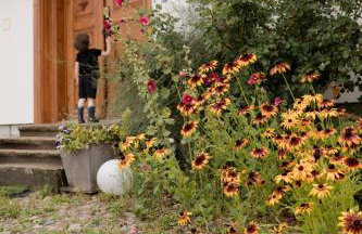 Przystawy Agroturystyka - Foto 13