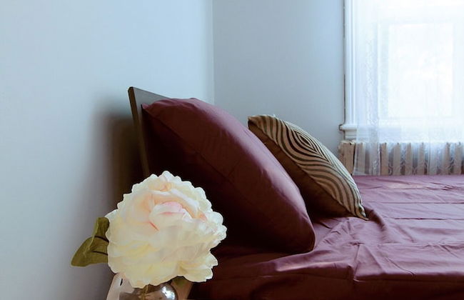 2 Bedrooma Apartment near Kensington Market - Unit 1 - Foto 9