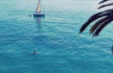 Wild Palms Apartment - Foto 58