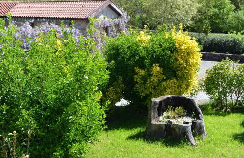 Rilhadas Casas de Campo - Photo 67