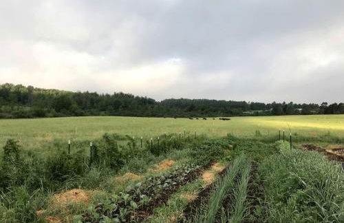 Rustic Bell Tent on Working Farm in New York with Views of the Adirondacks - Foto 8