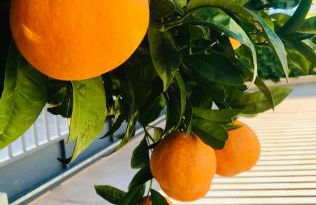 La casetta di Giò - Foto 5