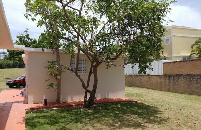 Beachfront Studios - Photo 49