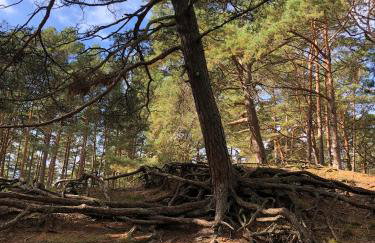 Domek Na pokładzie - Foto 17