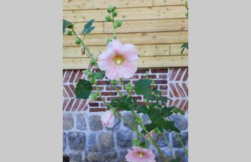 La Lanterne: Grande maison à deux pas de la mer - Foto 24