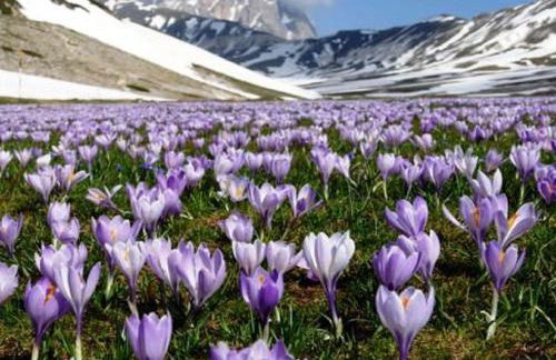 Iris Apartment, Parco Velino Sirente - Foto 30