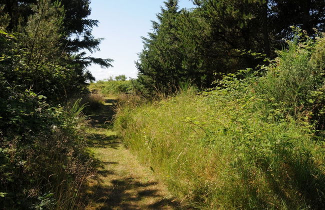 "Kalv" - 75m from the sea - Foto 13