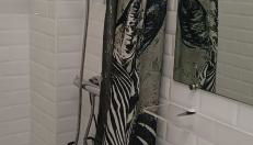 Beauval Saint Aignan,châteaux de la Loire gîte Le Royaume Sauvage - Foto 5