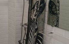 Beauval Saint Aignan,châteaux de la Loire gîte Le Royaume Sauvage - Foto 5