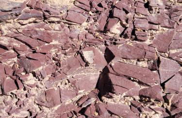 Trocito de Paraíso en la Sierra Espadán - Foto 35