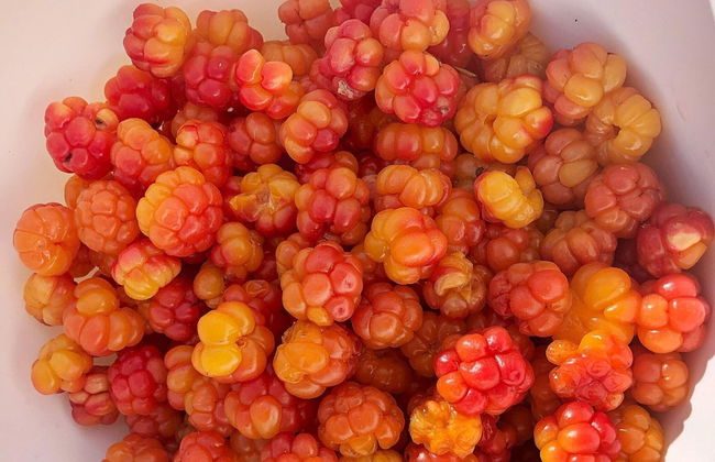 8 Person Holiday Home in Osen - Foto 20