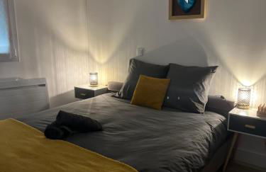 Appartement cosy face à la basilique Saint Remi - Foto 7