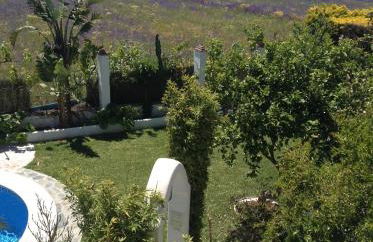 Placer de Meca - Foto 57