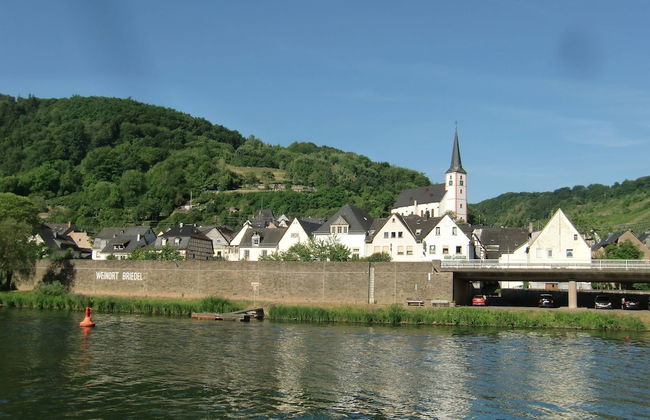 Spacious Holiday Home in Briedel Near River Mosel - Foto 33