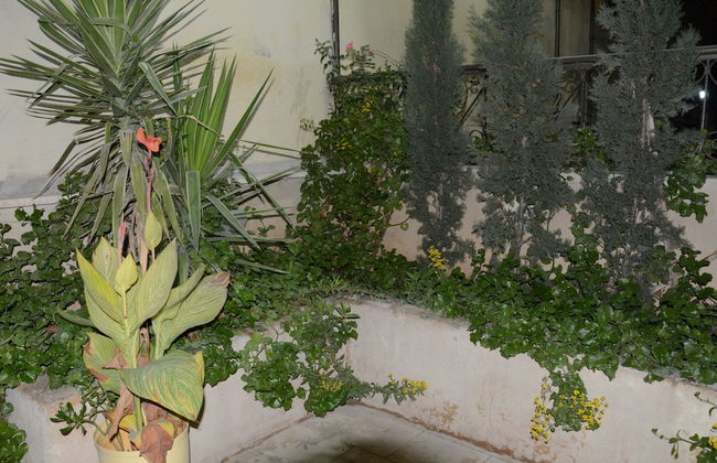 Jasmine leaves hotel apartment - Foto 28