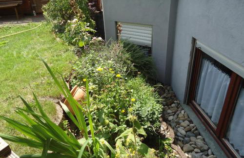 Apartment Babenhausen - Foto 8