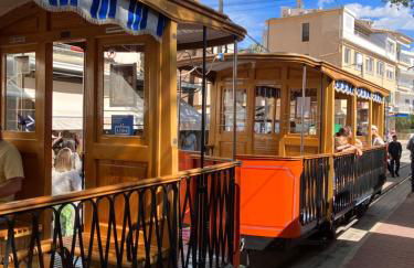 Sweet William - Foto 36