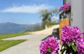 Maso K - Il Gufo Dorato - Foto 58