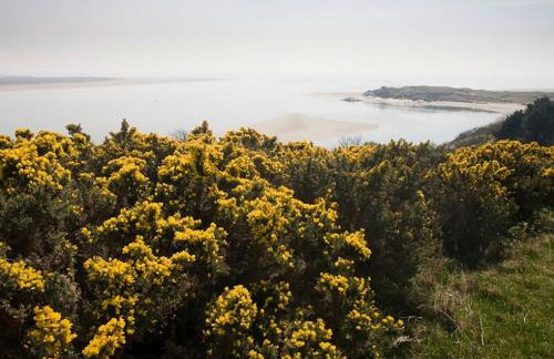 Bryn Y Mor, Borth Y Gest - Foto 70