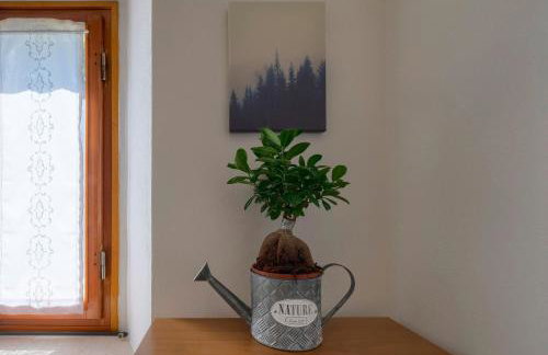 L'aia dì Trippa all'Aria Mugello - Photo 9