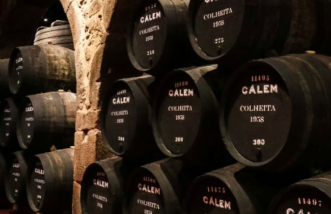 Visita guiada à vinícola Caves Cálem - Foto 2