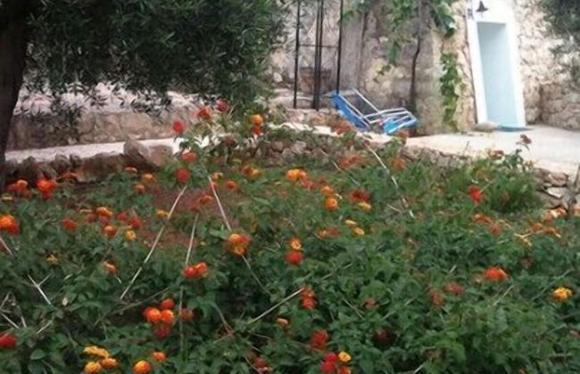 Tenuta de Marco - Foto 15