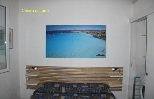 La Luna e il Gatto - Foto 11