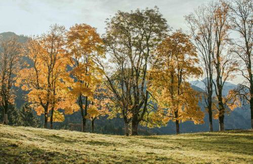 Ferienwohnungen Alpentraum - Landhaus am Bächle - Photo 38