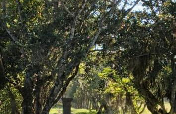 Recanto Bamboo Verde - Foto 25