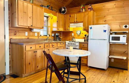 Log Cabin Walkable to Lake Lure & Chimney Rock - Blue Skies - Foto 21